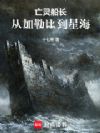 亡灵船长:从加勒比到星海