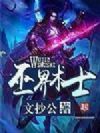 巫界术士