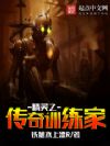 精灵之传奇训练家