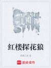 红楼探花狼