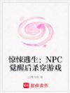 ���������NPC���Ѻ�ɱ����Ϸ