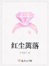 红尘篱落