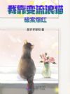 我靠变流浪猫破案爆红